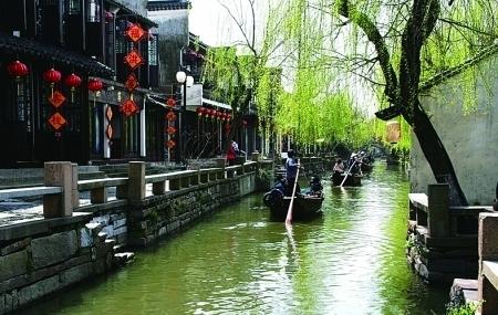 《诗行重庆》开机 邀请单霁翔探寻重庆文化